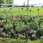 Marie Mit Terrassen, Inclusive Park- Und Stellplätze Am Haus, Müritz-strand Nur 700m, Altstadt 10min, Ruhige Lage, * Waren (Müritz)