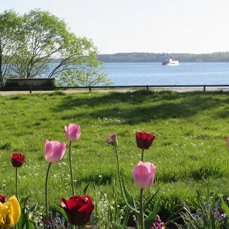 Marie Mit Terrassen, Inclusive Park- Und Stellplätze Am Haus, Müritz-strand Nur 700m, Altstadt 10min, Ruhige Lage,