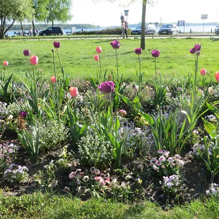 Marie Mit Terrassen, Inclusive Park- Und Stellplätze Am Haus, Müritz-strand Nur 700m, Altstadt 10min, Ruhige Lage, * Waren (Mueritz)